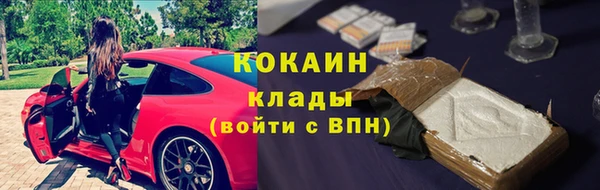 прущие грибы Абдулино