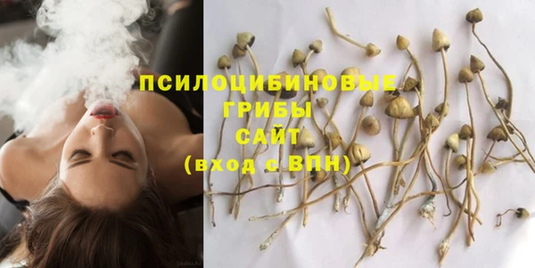 прущие грибы Абдулино