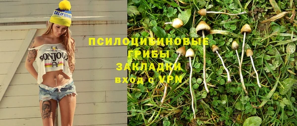 гашик Абинск