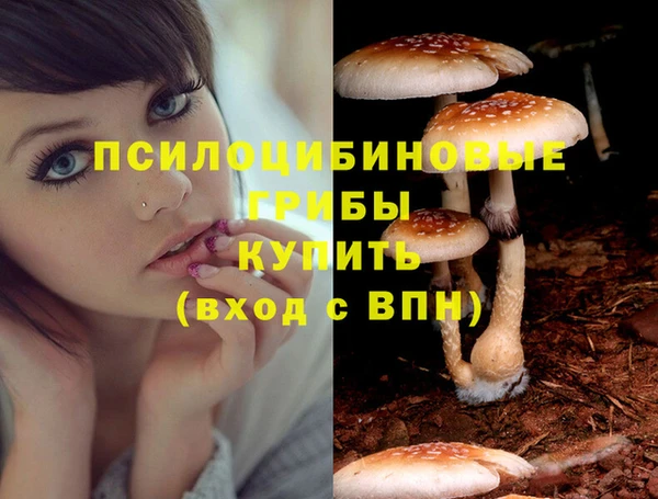 прущие грибы Абдулино