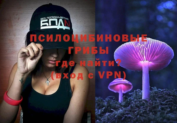 гашик Абинск