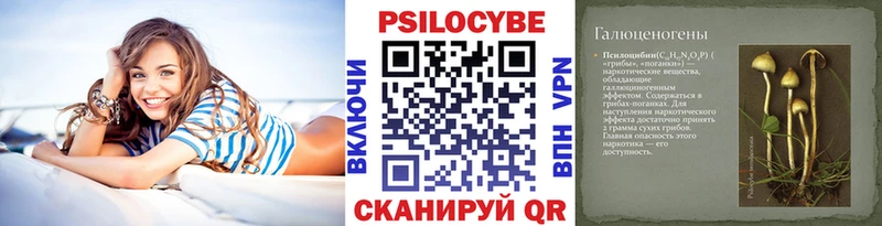 цены дарк нет наркотические препараты мега ссылки Галлюциногенные грибы прущие грибы Отрадный