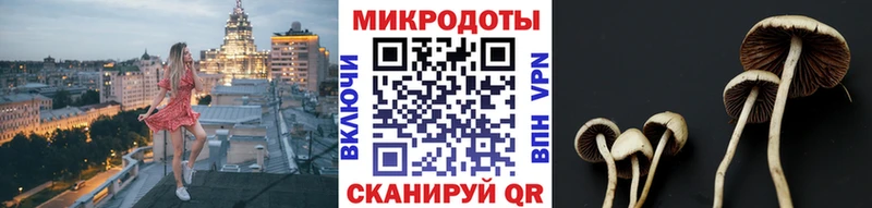 Галлюциногенные грибы Psilocybe Отрадный