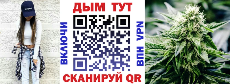 Каннабис OG Kush  Отрадный 